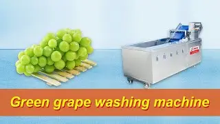 Green grape washing machine