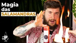 MANUAL DE MAGIA DAS SALAMANDRAS