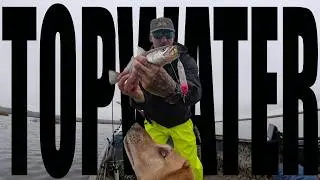 TOPWATER TRICKS on an overcast day in MAYPORT #topwater #fishing