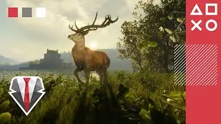 TheHunter: Call of The Wild - &Uacute;j DLC - Scotland Hunting Reserve