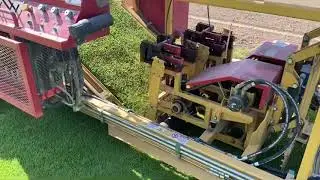 Harvesting Large Roll Sod Grass