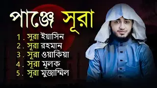 পাঞ্জে সূরা | হৃদয় ছোঁয়া বাংলা কোরআন তেলাওয়াত | Qari Abu Rayhan | Muslim TV official