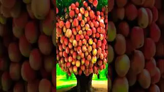 Amazing Fruits Framing 😀🤤 #shorts #amazingfruitcutting #satisfying #fruit #satisfyingfruitcutting