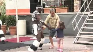 Main Street Arts Festival 2014
