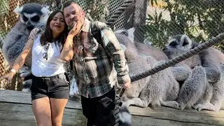 Я сделал предложение своей мексиканской девушке! 🇲🇽