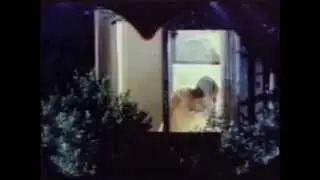 DAN DELGADO - liebe k&ouml;nnt' es sein