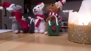Die kleine Waldmaus🐭 und das Winterglueck✨