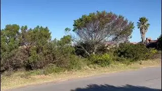 12 Keurboom Boggomsb Video