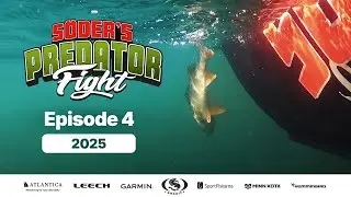 Predator Fight 2025 | Episode 4 (Multiple subtitles)