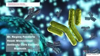 How to Generate Monoclonal Antibodies
