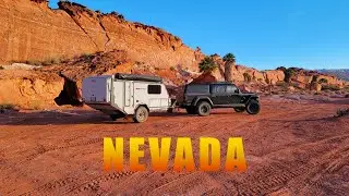 Пересадка на юг Невады