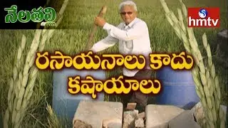 Subhash Palekar Natural Farming Guide By Warangal Farmers Gautam | Nela Talli | Telugu News | hmtv
