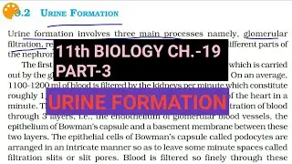 Class 11 Biology|Ch.-19 |Part-3||Urine formation||Study with Farru