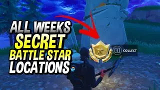 ALL WEEKS SECRET BATTLE STAR LOCATIONS! FORTNITE HIDDEN TIER LOCATIONS!
