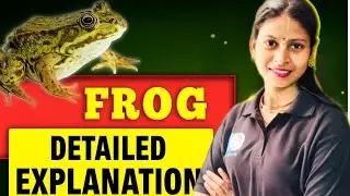 FROG 🐸 DETAILED EXPLANATION || MUNILSIR || SHIVANI MAM