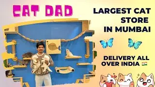 😱Persian Cat Store In Mumbai City😻Fluffy & Playfull Kitten  Delivered All Over 🇮🇳 #petshop #mumbai