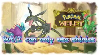 Building a shiny team to take down Walking Wake, Iron Leaves, and Shiny Rayquaza - Giveaway