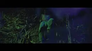 Vivel - Visitantes