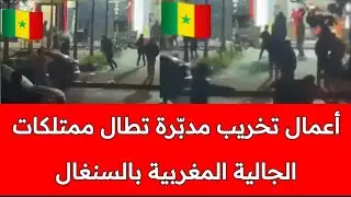 الأمور بدأت تتضح ، مخطط جزائري يظهر باعتـ.داءات السنغاليين على ممتلكات الجالية المغربية في السنغال 