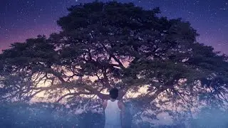Maddymax - Highdose 