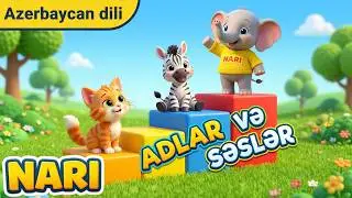 50 Heyvan Bir Videoda! 🐾 Adları və Səsləri ilə | Uşaqlar üçün Tədris