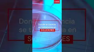 Centro de Investigaci&oacute;n e Innovaci&oacute;n Biom&eacute;dica Uandes