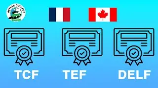 TCF vs DELF vs TEF : Quelle diff&eacute;rence ? Le guide complet ! | ACTION COLLEGE