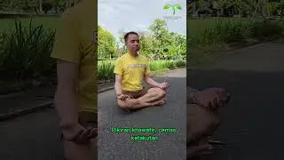 High Energy High Income | Meditation