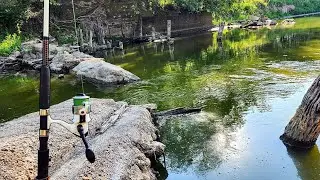 Drought Fishing a BROKEN ROCK DAM!! (Live bait)