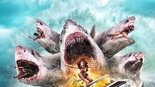 Evolution of headed shark attacks