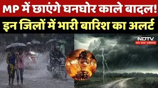 Heavy Rain Red Alert In MP: MP में छाएंगे घनघोर काले बादल! इन जिलों में भारी बारिश का अलर्ट |Monsoon