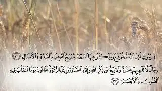 { الله نور السموات والأرض.... } تلاوة ضماد للقلب♡ ما تيسر من سورة النور | تلاوات القارئ ناصر العصفور