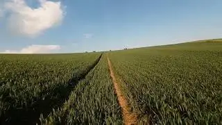 dji avata2 first time FPV in Brighton
