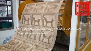 PLA sugarcane bagasse corn starch thermoforming machine for biodegradable containers tray box cups