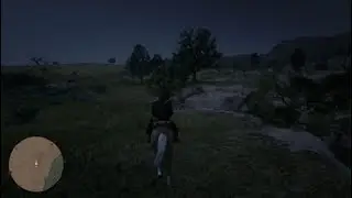 Red Dead Redemption 2 pt6