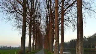 蘭德海姆 河岸林道 Landegem