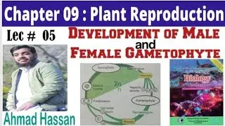 Development of Male and Female Gametophyte|| Federal board 9th class New book