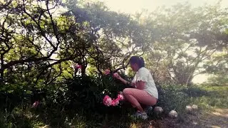 🌸 Eutopia Gardens (Vladimirescu) 🌸