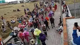 Camada nueva generación terrenate perros del popo