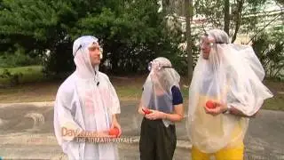 Daytime - Tomato Royale