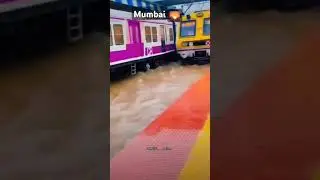 #beats #funny #turtleday #railway #birthday #comedy #happyturtle #birthdaymusic #worldturtleday