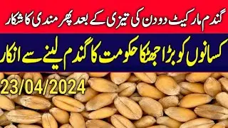 wheat price in pakistan/today wheat price/galla mandi rate today 2024