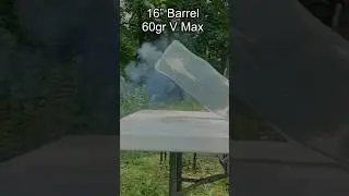 16&rdquo; VS 10.5&rdquo; AR15 60gr V max