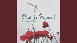 Exotic Sounds