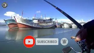 Mancing Di Benoa Bali Khusus Pesanan Si Kecil