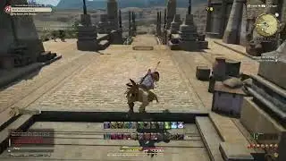 Final Fantasy XIV With the Utmost Care