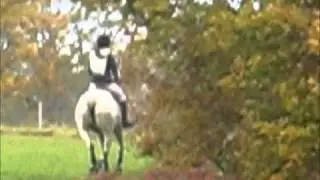 Cross de st george