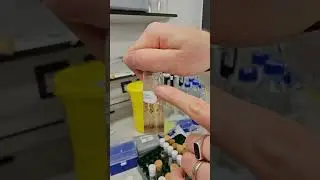 03 Fruit Fly Research Lab tour at Exeter University with Professor James Wakefield