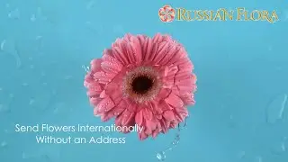 Send Flowers Internationally Without an Address