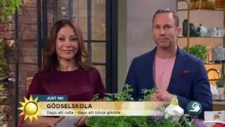 Dags att odla - så gödslar du! - Nyhetsmorgon (TV4)